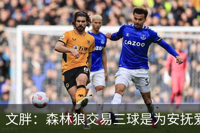 文胖：森林狼交易三球是为安抚爱德华兹 他一赛季被包夹近1000次